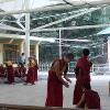 Buddhist monks in India